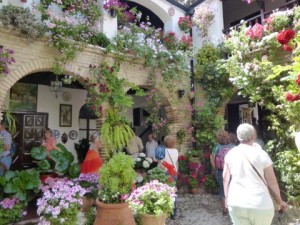 Cordoba Patios (1)